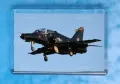 Hawk T2